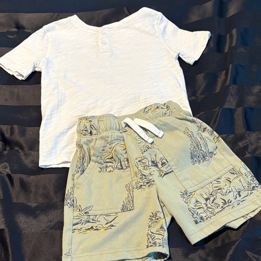 Boys Dinosaur Print Short set size 6